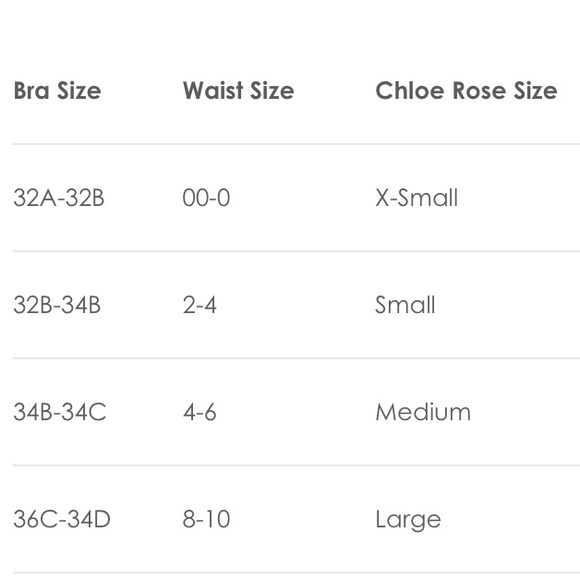 Chloe Rose Triangle Top String Bikini, XS (00-0) - Picture 14 of 14